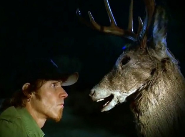 Vadbaleset: bármikor bekövetkezhet!