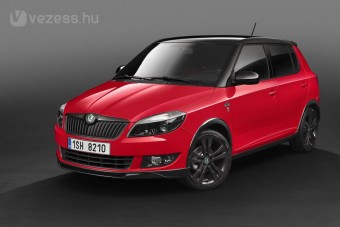 Utcai raliváltozat a Škoda Fabiából