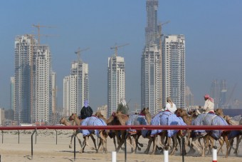 Sokkolóval tuningolt tevék