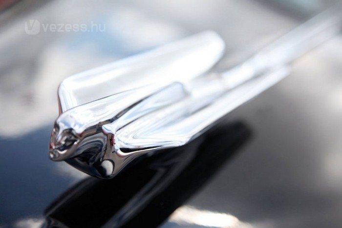 A valaha készült legszebb autó 11 | Vezess Nem túl gyalogosbarát a Cadillac Fleetwood orra