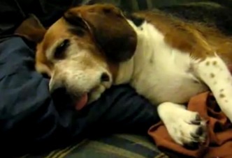 Túláradó szombati cukiság