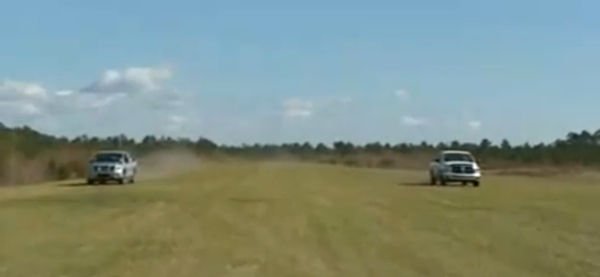 A fű életveszélyes