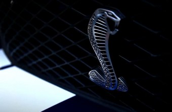 A lengyelek értik a kígyó szavát