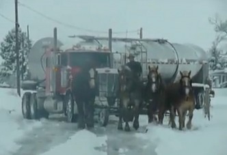 Az igazi lovak ereje