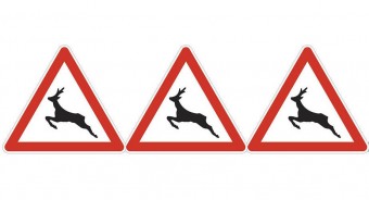 Furcsa állatságok a szlovák KRESZ-ben