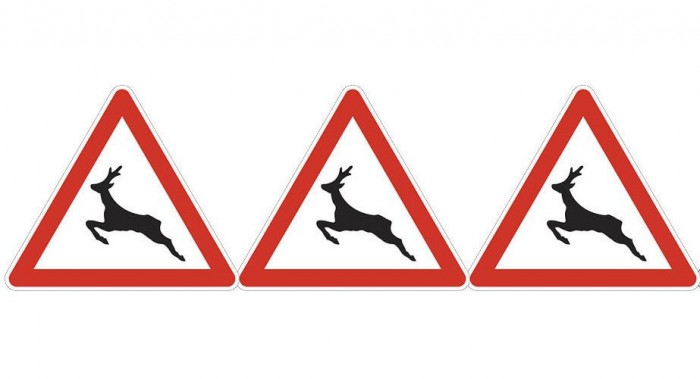 Furcsa állatságok a szlovák KRESZ-ben