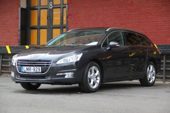 Ásítós nagy kombi markáns orral