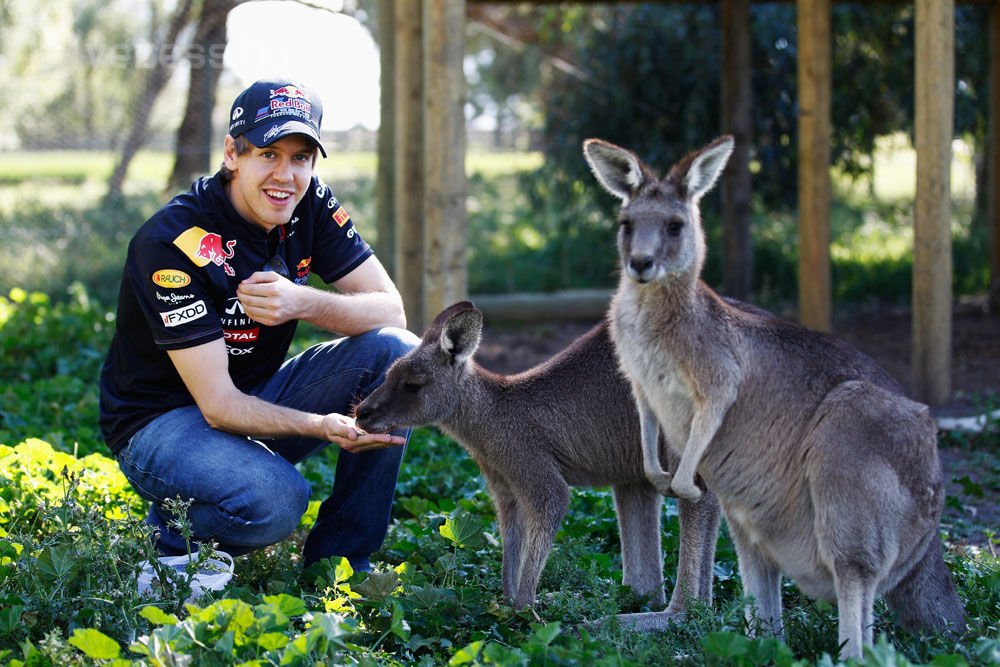 F1: Elégedettek a Red Bull pilótái 7