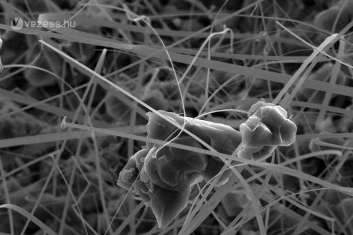 Banánból, ananászból a jövő autója 5