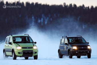 Pénzesőt jósol a FIAT-vezér