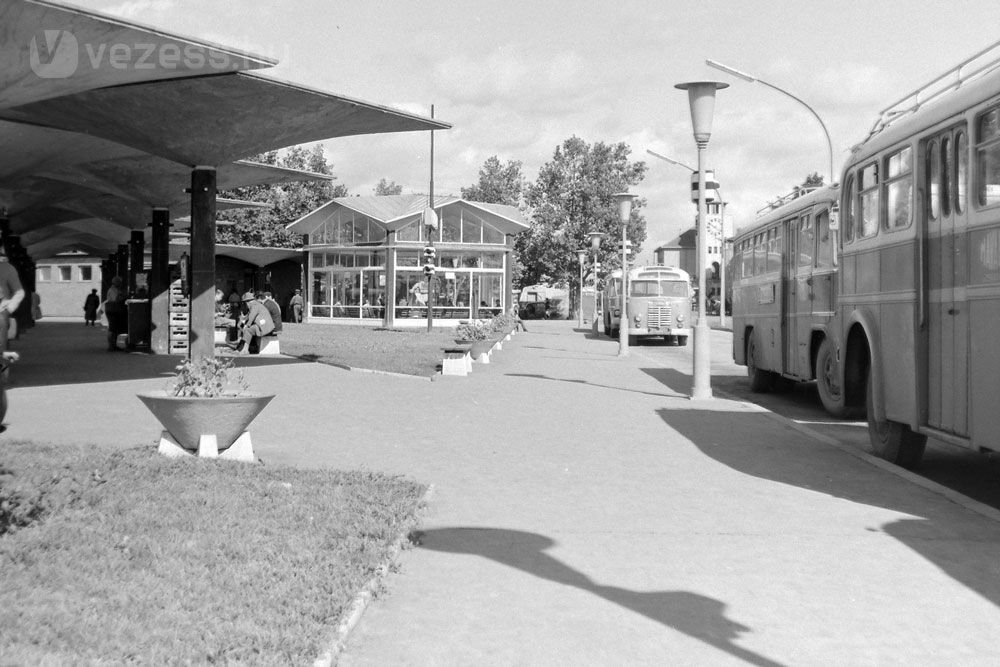 Szekszárd, autóbusz-állomás (Fotó: Fortepan)