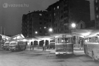 Budapest, XI. Kosztolányi Dezső téri autóbusz-pályaudvar a Bukarest utcában (Fotó: Fortepan)