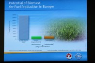 Bioüzemanyag? A fél fogunkra sem elég