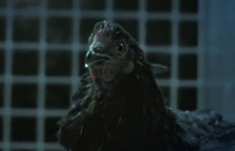 Bármilyen baromfival elbánik a Nissan 370Z