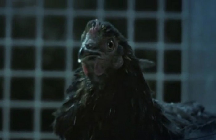 Bármilyen baromfival elbánik a Nissan 370Z