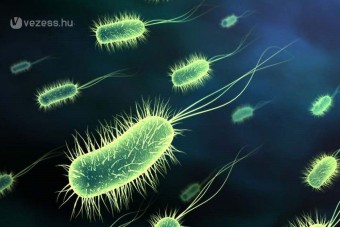 A kormány koszosabb, mint a nyilvános WC