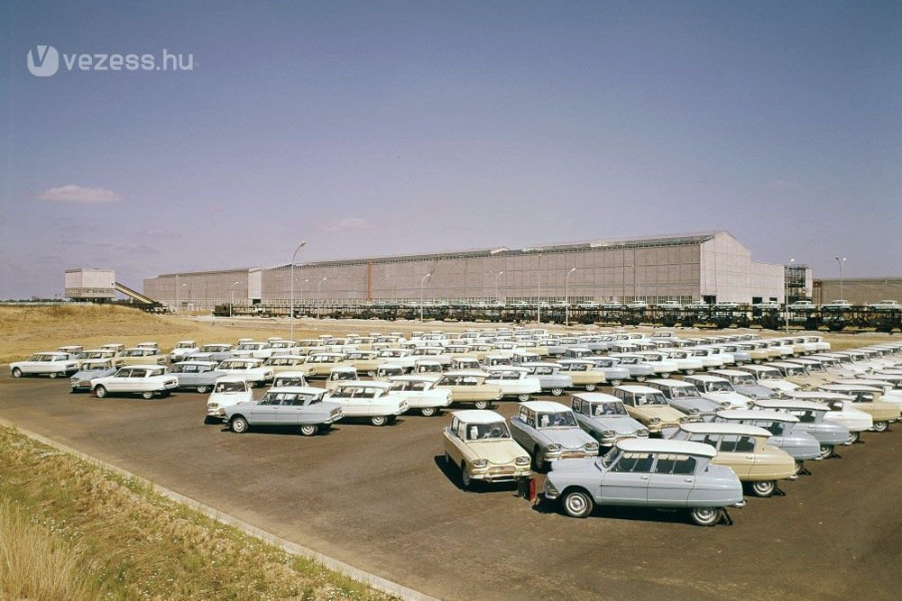 45191_351245_1000x700.jpg | Vezess | Vezess