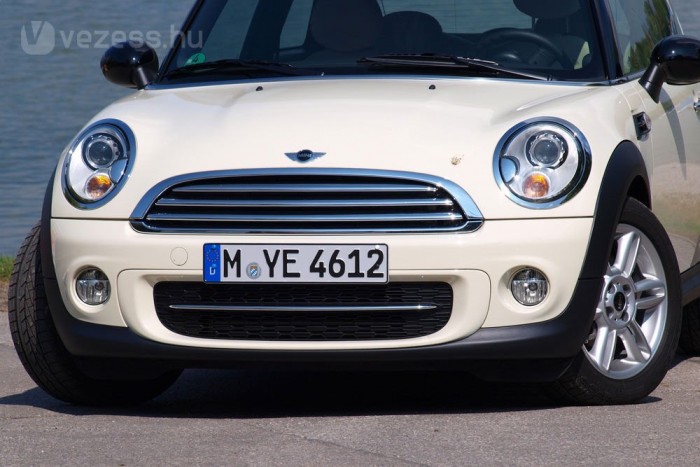 Kellemesen bárgyú pofázmány