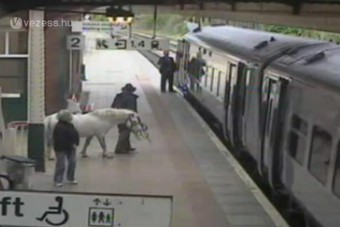 Lóval akart vonatra szállni - videó