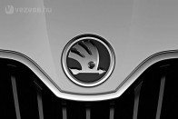 A Volkswagen részleges Skoda-felvásárlásából származó első közös termék egy középkategóriájú Skoda autó lesz, amely 1995-től fokozatosan a mostani Skoda Favorit modell helyébe lép.