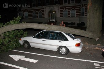 Faág esett az autóra