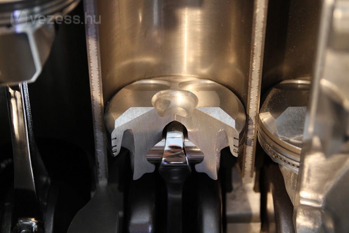 Természetes élőhelyén a szoborszerű dugattyú