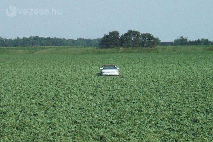 Na, ez vajon hogyan került oda?