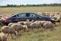 Nem borzolja a hátsó utasok haját a tetőív