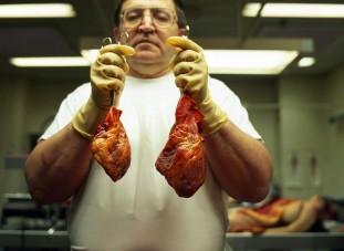 Szervdonorrá tennék az autósokat