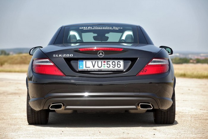 A brazil szambatáncos tompor, nagy, fekete és kívánatos