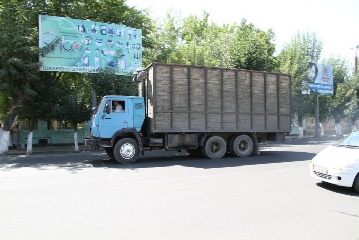 Díszes Kamaz, a fajra jellemző füstcsík nélkül