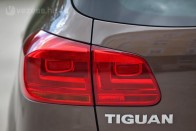 Tiguan nevű állat nincs, csak tigris és leguán, ami az ötletet adta