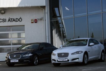 A Jaguar kitör a hátsó udvarból