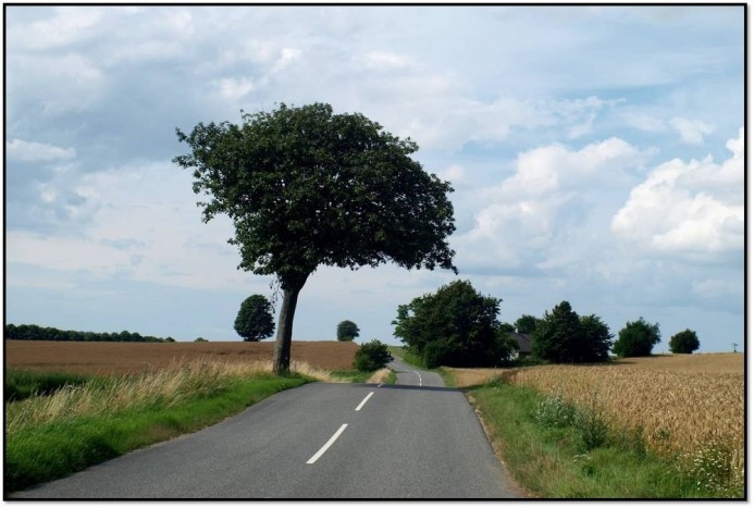 Bátor vagy őrült aki külföldről vesz autót? 8 | Vezess Ha a sofőr tudja, mivel áll szemben, a közútkezelő nem vonható felelősségre baleset miatt