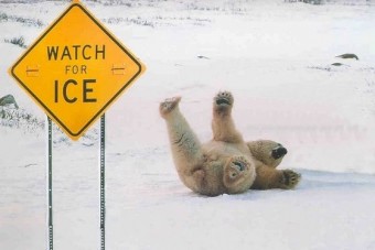 Hogyan kerüljük el a téli baleseteket