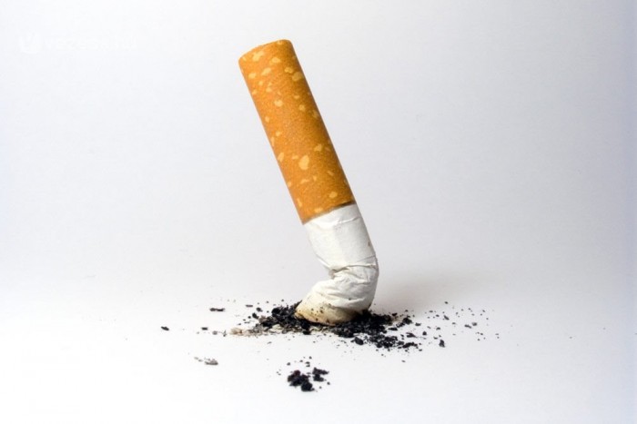 Felborult és meghalt a cigicsempész