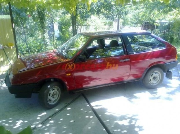 A melósok alól elporladt Ladák soraiban akad pár szerencsés, családi gondoskodásban részesült darab