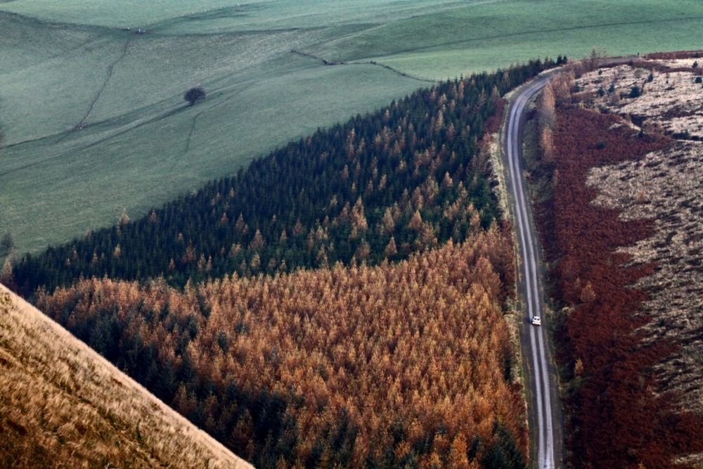 Ford-siker és dráma a Wales-ralin 18