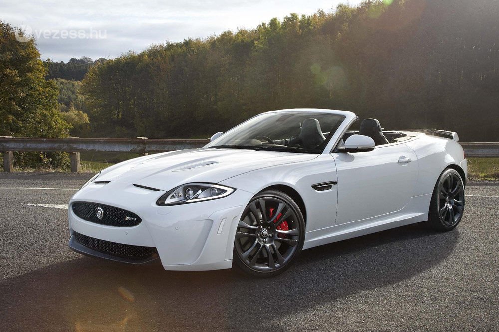 48989_382159_1000x700.jpg | Vezess | Vezess