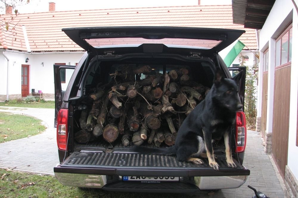 Mire nem jó egy pickup: végre hazahoztam a kertből a két éve bomladozó tűzifa-kupacot. És a kutya se koszolja a csomagtér szőnyegét