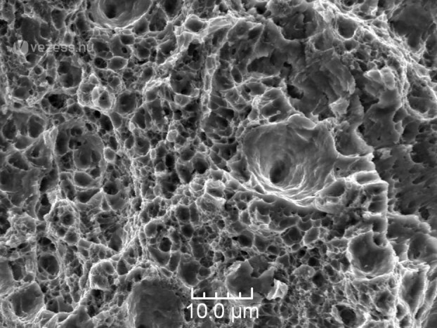 A látható világon túl is kutat a Ford 6 | Vezess Egy csavar közeli nézete olyan, mint egy koralltelep