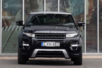 Egy gyönyörű varacskos disznó