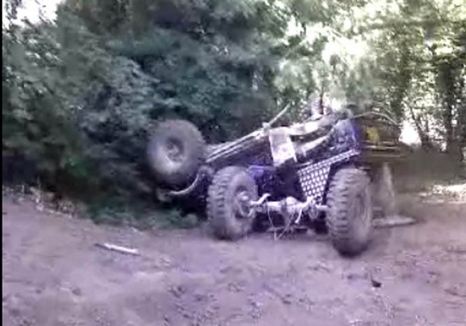 Tengelytörés a természetben