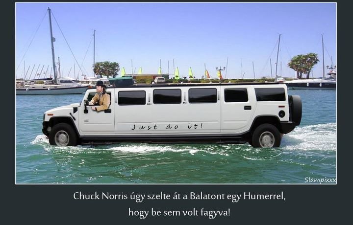 Chuck Norris természetesen egyből feltűnik ott ahol baj van