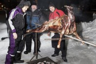 A fene tudja, mit ettünk: jávorszarvasnak túl kicsi, rénszarvasnak túl porhanyós volt