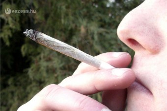 Tudósok: drogosan veszélyesebb vezetni
