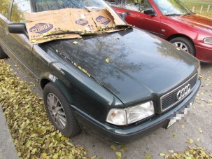 Ellopta és beköltözött az Audiba