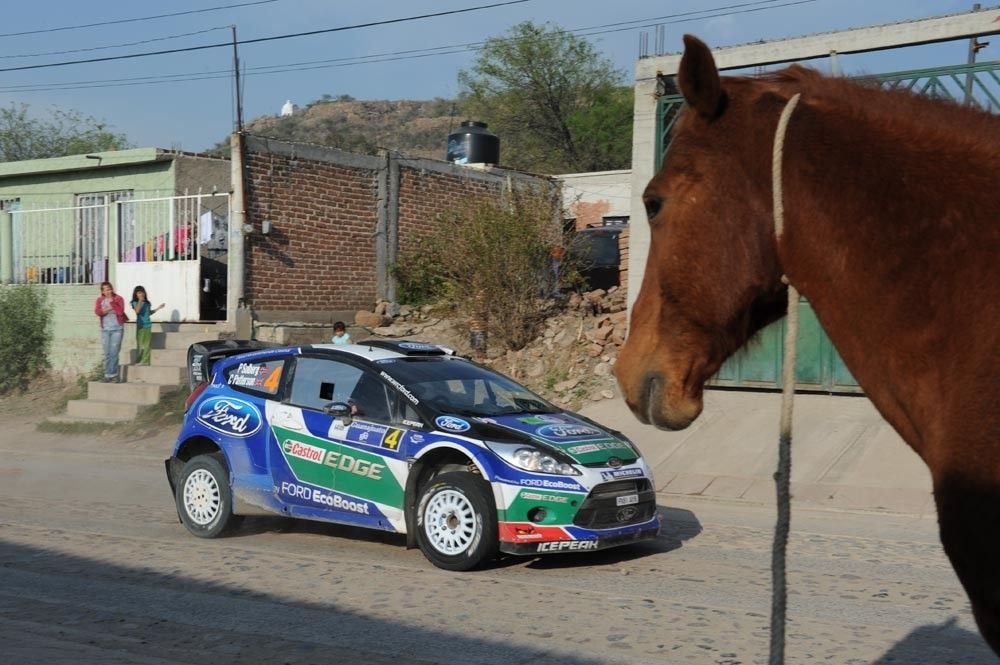 Így látta a Ford a Mexikó-ralit 23