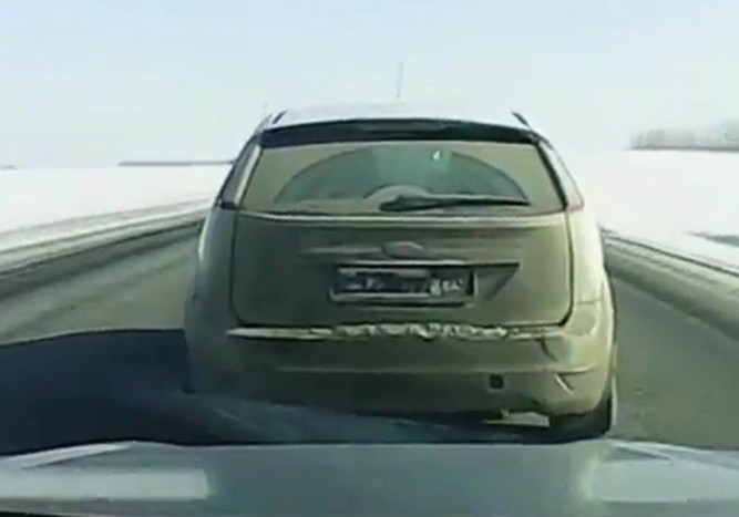 Bosszúálló barmok közúton