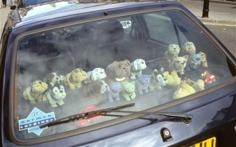 Műkutyáért törtek ablakot a rendőrök